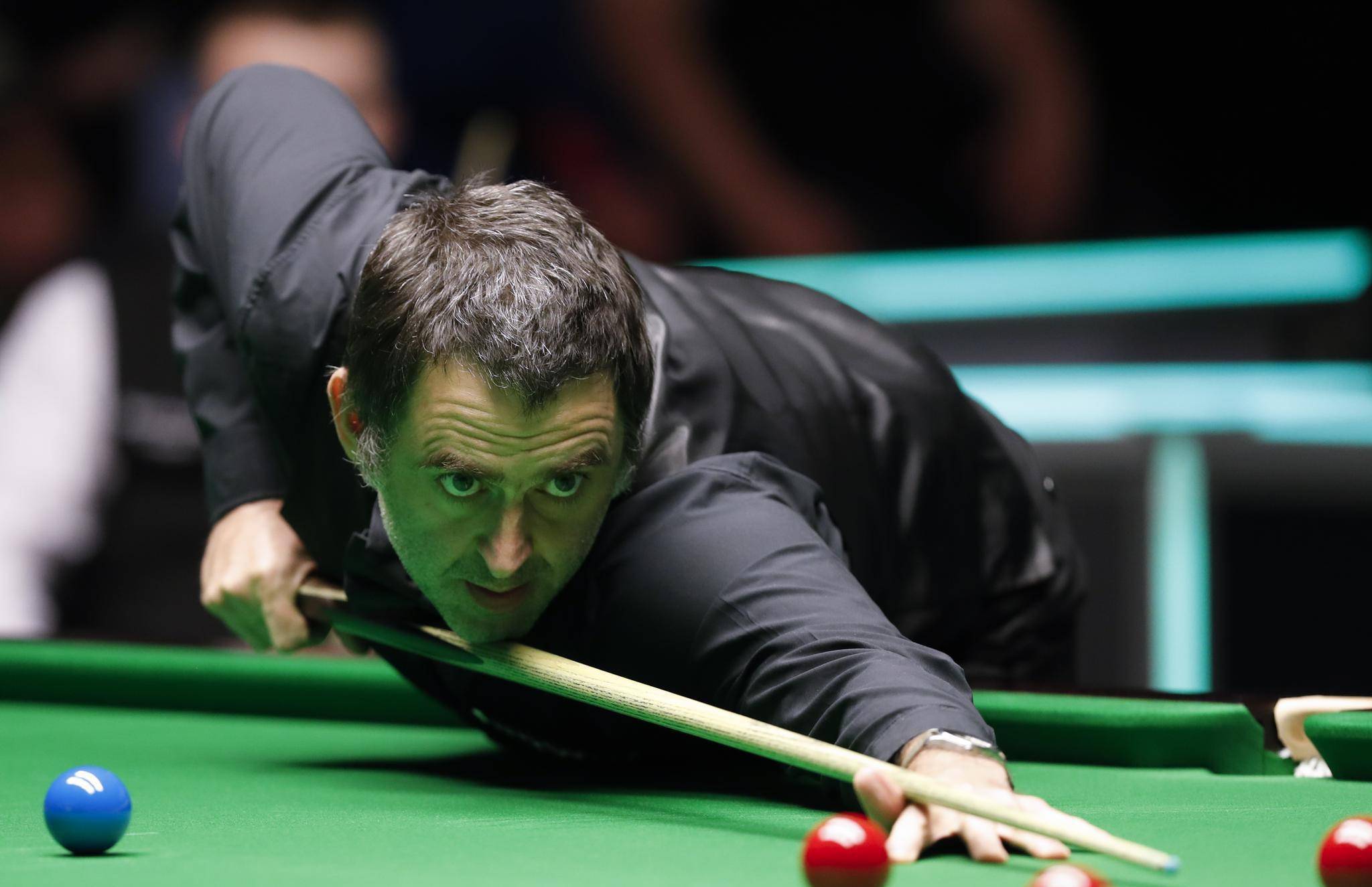 应速度与数 应速度与数